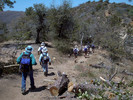 photo thumbnail #11