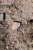 photo thumbnail #13