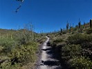 photo thumbnail #9