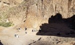 photo thumbnail #1