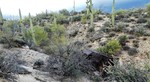 photo thumbnail #5