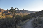 photo thumbnail #1
