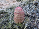 photo thumbnail #5
