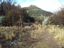 photo thumbnail #4