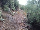 photo thumbnail #15