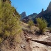 photo thumbnail #1