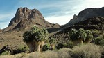 photo thumbnail #9