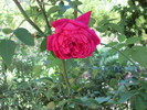 photo thumbnail #7
