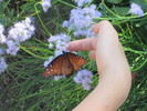photo thumbnail #9
