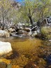 photo thumbnail #9
