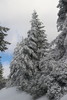 photo thumbnail #11
