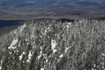 photo thumbnail #15
