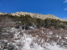 photo thumbnail #1