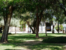 photo thumbnail #15