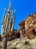 photo thumbnail #4