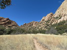 photo thumbnail #4