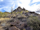 photo thumbnail #4