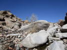 photo thumbnail #11