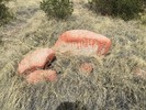photo thumbnail #2