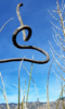 photo thumbnail #15
