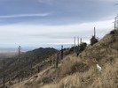 photo thumbnail #1