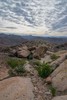 photo thumbnail #14
