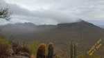 photo thumbnail #7