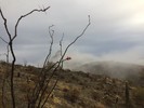 photo thumbnail #2