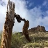photo thumbnail #14