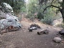 photo thumbnail #5