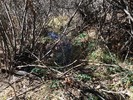 photo thumbnail #13