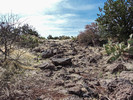 photo thumbnail #3