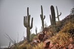 photo thumbnail #4
