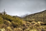 photo thumbnail #12