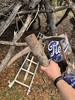 photo thumbnail #3