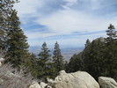 photo thumbnail #10