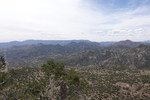photo thumbnail #6