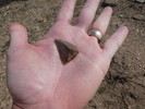 photo thumbnail #1