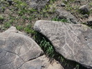 photo thumbnail #10