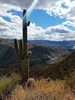 photo thumbnail #13