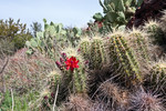 photo thumbnail #9