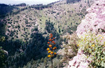 photo thumbnail #10
