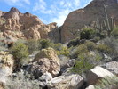 photo thumbnail #5