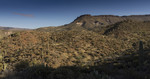 photo thumbnail #2