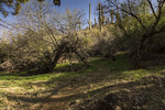 photo thumbnail #4
