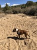 photo thumbnail #8