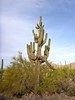 photo thumbnail #2