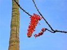 photo thumbnail #3