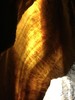 photo thumbnail #15