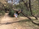 photo thumbnail #5